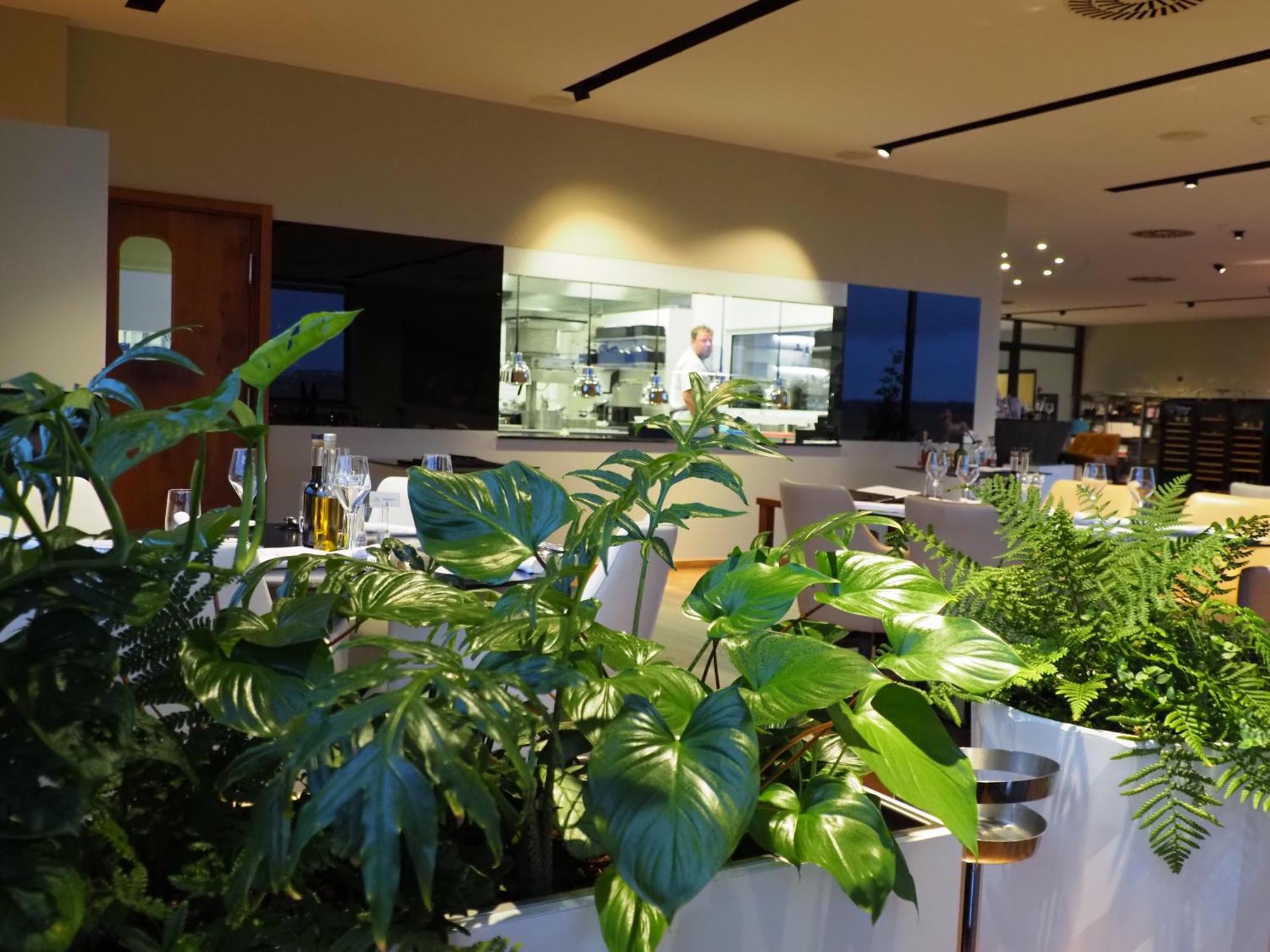 Mg Restaurace/luxury Apartment Mlada Boleslav